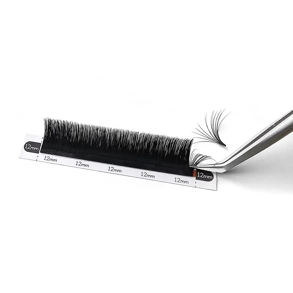 A professional lash tweezer pinching the base of Shewincosmetic 12mm Easy Fan Lash Extensions, demonstrating how the fan blooms open instantly