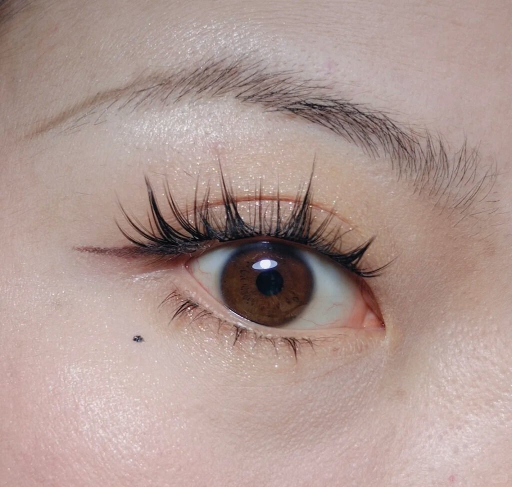A close-up photo showing Shewincosmetic cluster lashes perfectly applied underneath the natural lash line. The lightweight fibers and seamless, heat-bonded base create a natural, extension-like effect.